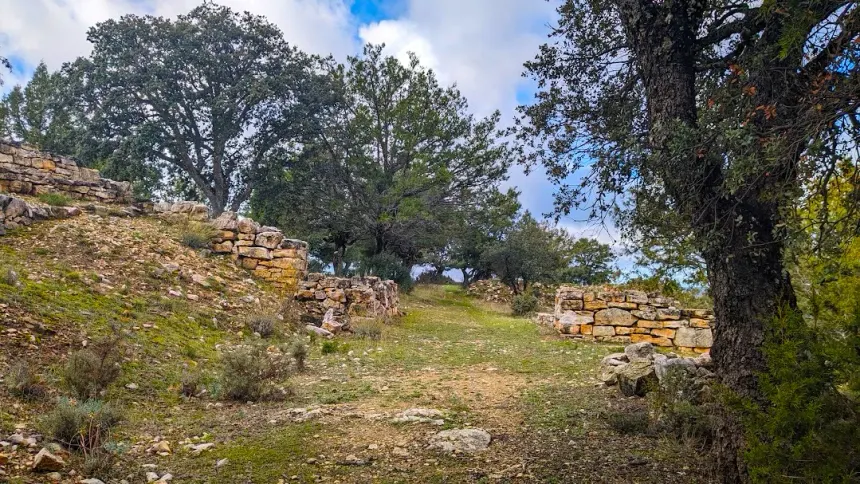 Castro de Peña Moñuz